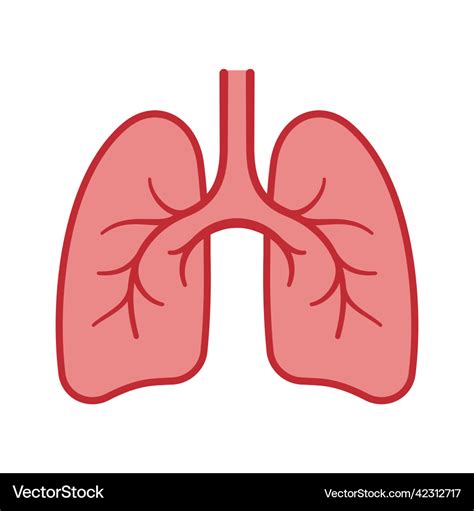 cartoon lungs